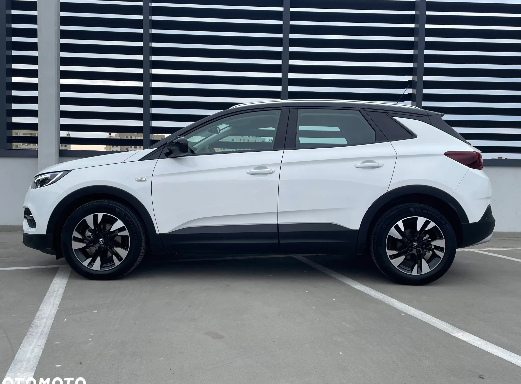 Opel Grandland X cena 89900 przebieg: 45200, rok produkcji 2021 z Rzeszów małe 704